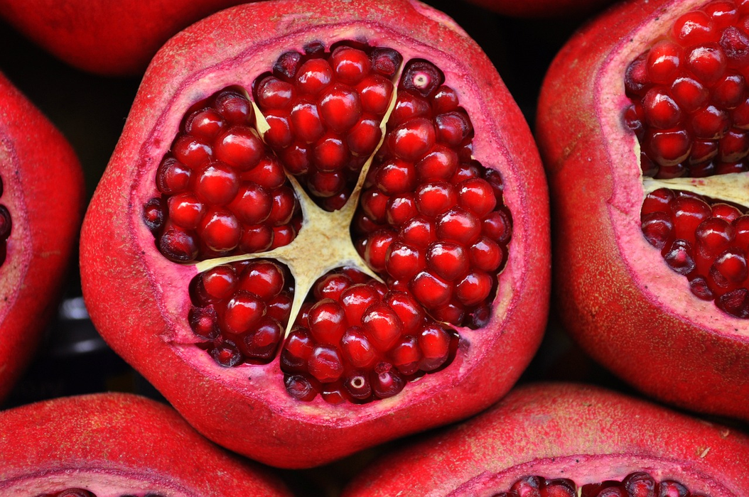 Rodii (sursă foto: pixabay)