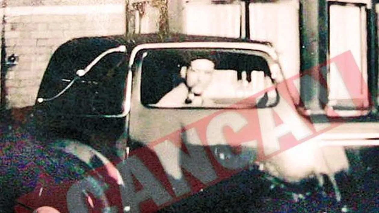 Sofeaza si la 100 de ani