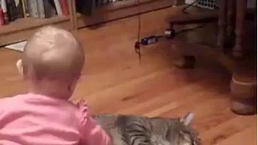 VIDEO demential! Nimeni nu iubeste pisicile mai mult decat fetita asta - Uite cum se gudura pe langa motanul mai mare decat ea!