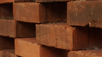 „Îmi cresc propria cărămidă”. Hobby-ul surprinzător care a cucerit milioane de tineri din China