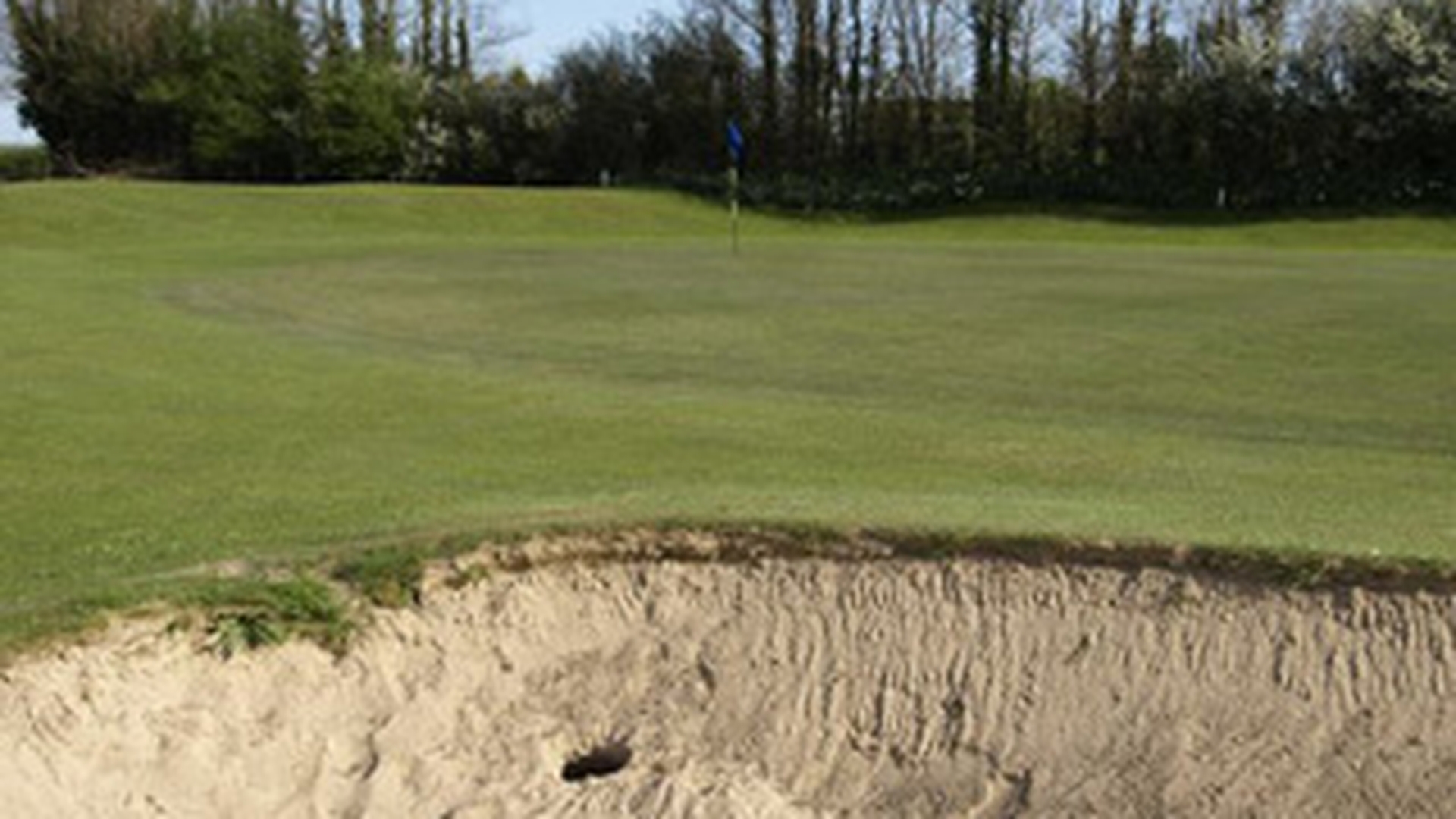 Si-au facut culcus pe terenul de golf