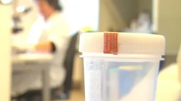 Ireal! A facut greseala sa doneze sperma, apoi sa se culce cu una dintre mamele celor 30 de copii ai sai! Ce a patit barbatul