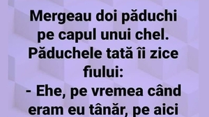Bancul de weekend | Mergeau doi păduchi pe capul unui chel