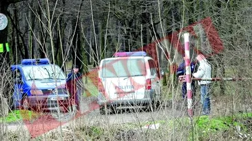 Armele de la Ciorogarla, cautate in strainatate