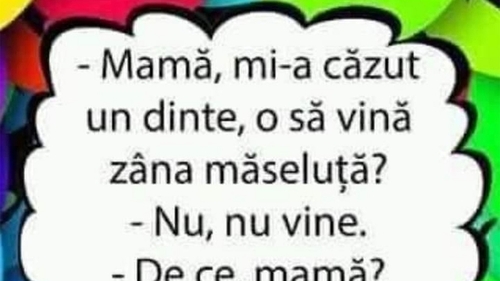Bancul sfârșitului de săptămână | Zâna Măseluță