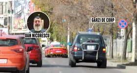 Galerie foto - poza 3