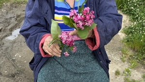 Povestea dramatică a lui "tanti Mimi", o pensionară din Filiași. Ce a ajuns să facă pentru bani, la 70 de ani