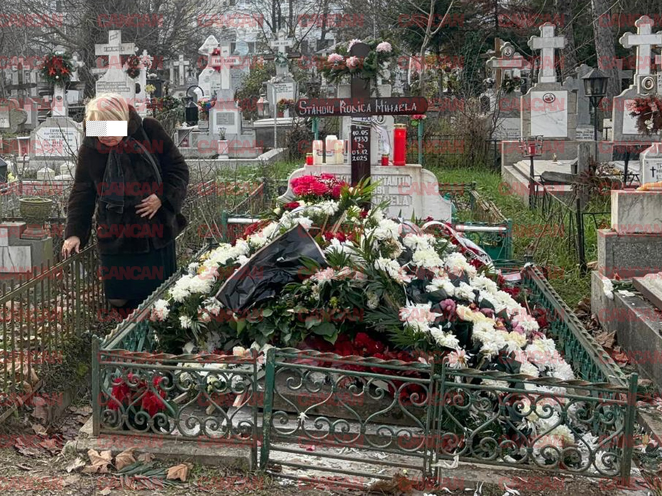 Gestul nepoatei Rodicăi Stănoiu