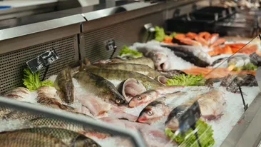 Cât costă peștele în Piața Obor de Buna Vestire: chiar și 95 de lei/kg