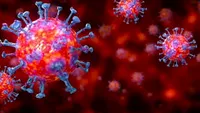 Coronavirus în America. După SUA, cel mai afectat stat din lume, Mexic pierde 350.000 de angajați în primele două săptămâni de carantină