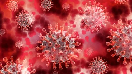 Bilanț coronavirus România, 14 septembrie 2021. 96 de decese s-au înregistrat în ultimele 24 de ore