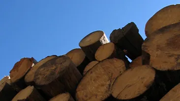 Doua eleve de liceu, strivite de o stiva de lemne in curtea scolii unde invata