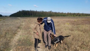 Un bărbat din Dolj dat dispărut a fost găsit cu ajutorul câinilor de căutare şi salvare