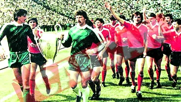 Trofeele Stelei au zacut 10 ani in magazie