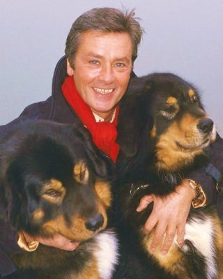 Alain Delon şi-a pregătit înmormântarea! Vrea să fie înhumat lângă câinii lui