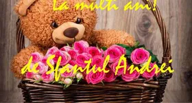 Galerie foto - poza 4