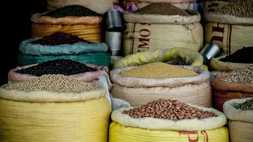 Alimentele viitorului! Ce vor ajunge să mănânce românii până în 2050?