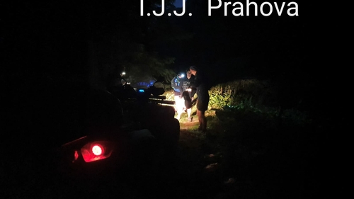 Drumeție cu peripeții. Trei tineri au sunat la 112, speriați de o viperă și de urmele unui urs VIDEO
