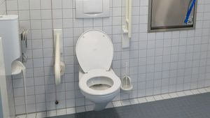 Incredibil! Ce a descoperit un bărbat în vasul de toaletă din propria casă: ”Sunt dăunătoare”