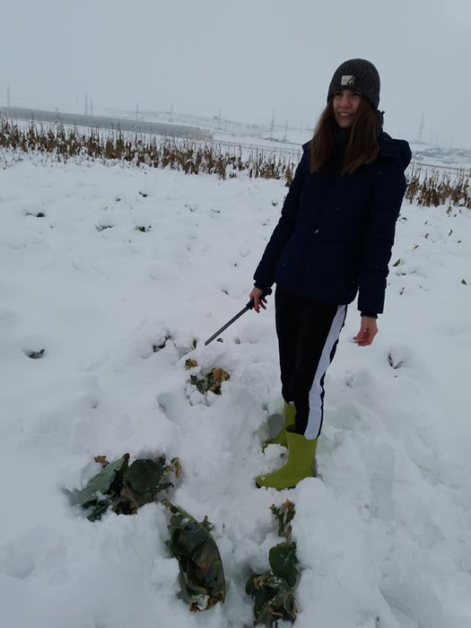 Patricia, la cules de broccoli, pe zăpadă