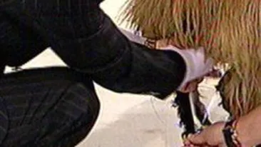 Vraci de animale! Gigi Becali a povestit cum... a reparat o oaie! Era schioapa de o luna!