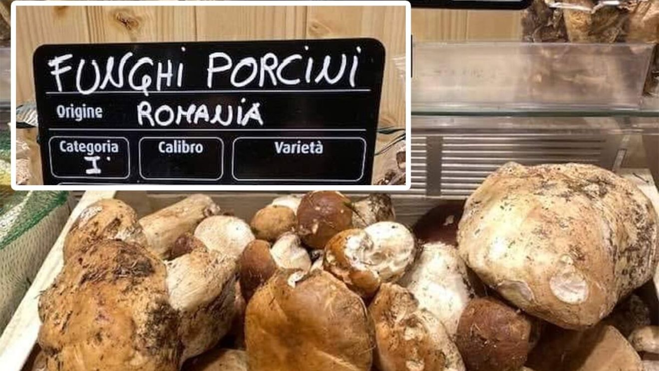 Cu cât se vinde kilogramul de hribi românești, într-un supermarket din Italia. Imagini realizate de un român uimit