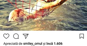 Galerie foto - poza 1