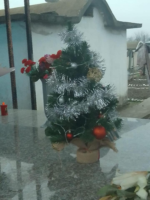 Mama Denisei Răducu, la mormântul fiicei sale. Imaginile durerii în ziua în care artista ar fi împlinit 32 de ani