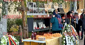 Galerie foto - poza 3