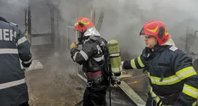 Galerie foto - poza 2