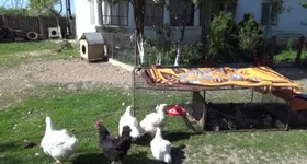 Galerie foto - poza 1