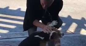 Galerie foto - poza 3