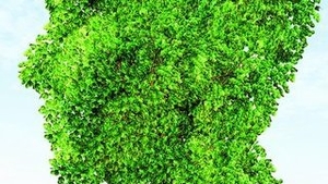 Viata secreta a plantelor