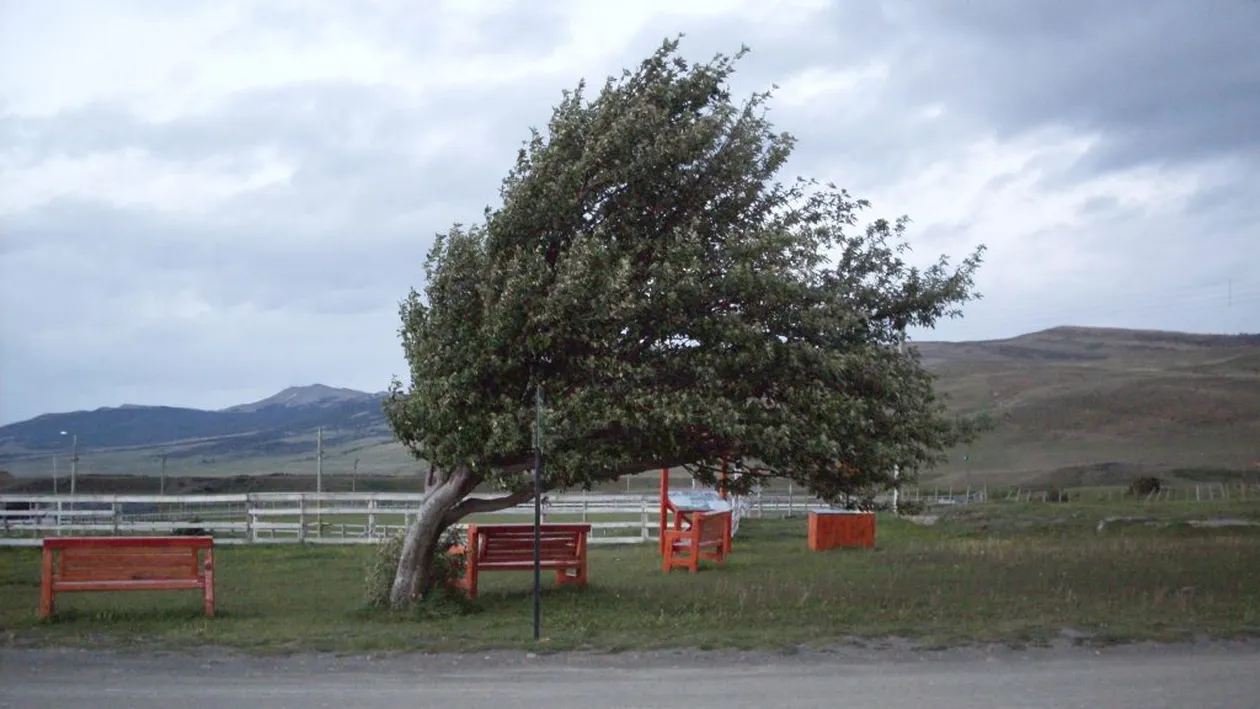 VREMEA 16 aprilie. Cod galben de fenomene periculoase în mai multe judeţe