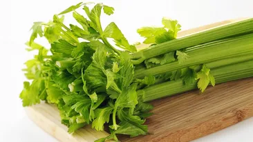 La ce ajută ţelina. Luptă împotriva hipertensiunii, a ulcerelor, a bolilor hepatice, dar şi a cancerului