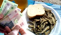 Un turist din Marea Britanie și-a luat ”șoc” după ce a comandat o porție de hamsii la Mamaia. Cât a achitat la final