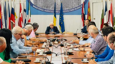 Ministrul Agriculturii a făcut anunțul! Ce se va întâmpla, de fapt, cu sectorul de morărit și panificație