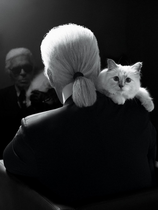 Pisica lui Karl Lagerfeld, ”în doliu”. Choupette le-a „mulțumit” fanilor pe Instagram