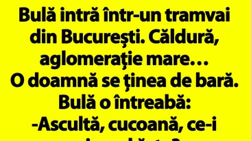 BANCUL ZILEI | Bulă intră într-un tramvai din București