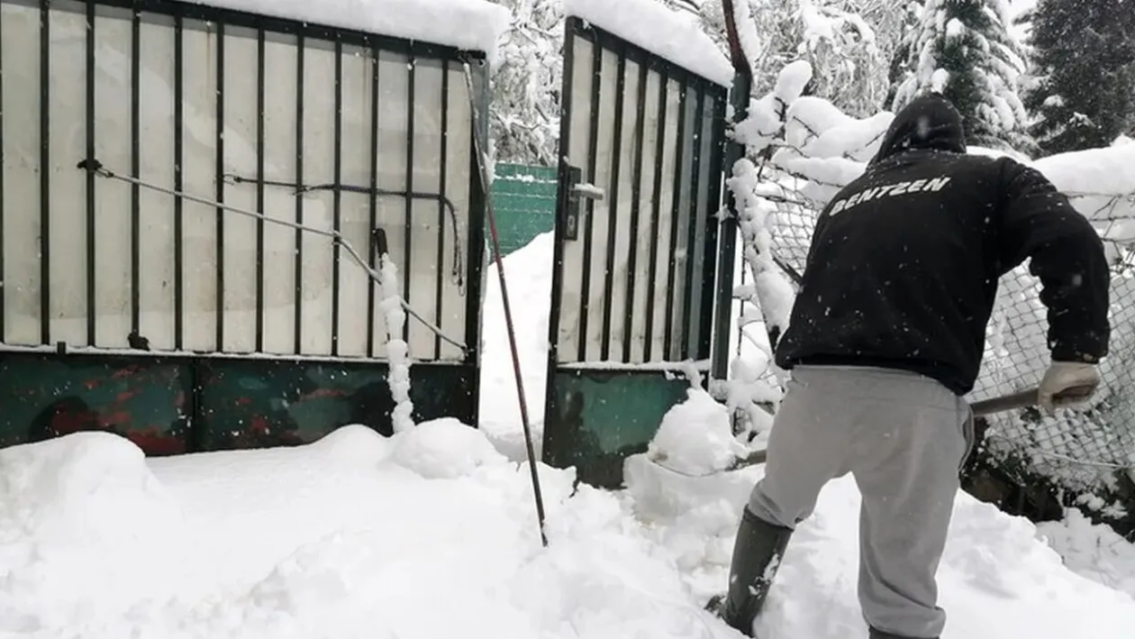 Ce amendă primesc românii care locuiesc la casă și nu deszăpezesc trotuarul. Suma nu este mică deloc