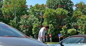 Galerie foto - poza 4