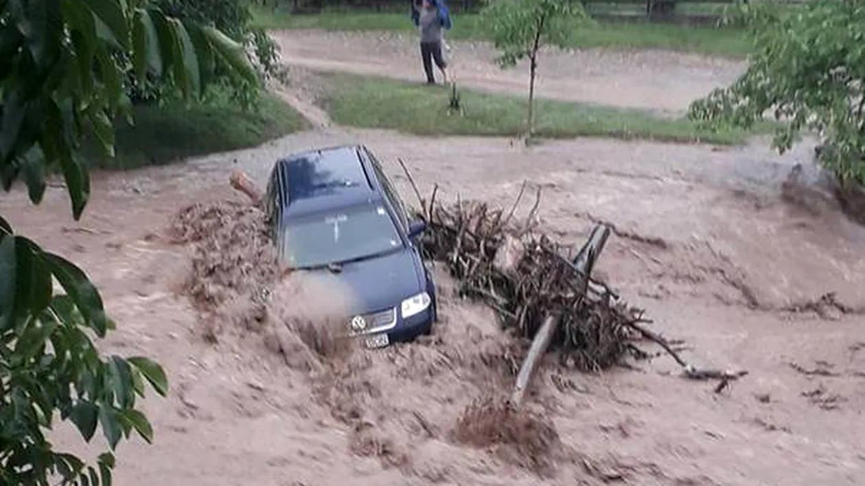 Rupere de nori în Alba: Mașină luată de ape, copaci căzuți, străzi și gospodării inundate