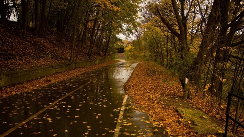 Vremea rea lovește România! Plouă în toată țara, iar temperaturile scad în următoarele zile