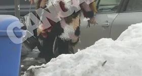 Galerie foto - poza 1