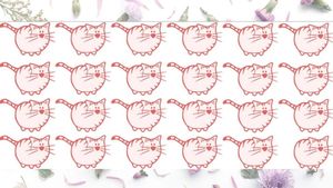 Test de logică | Găsiți singura pisică diferită de toate celelalte!