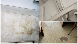 Imagini de coșmar surprinse în mai multe cămine studențești din București. Camere pline de gândaci și mizerie, cu pereți și saltele mucegăite