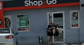 Galerie foto - poza 3