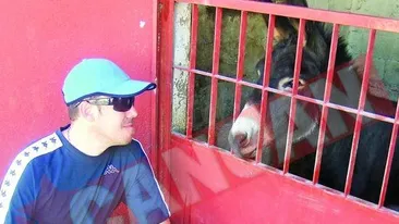 Presedintele si-a luat cal de 20.000 de euro din Spania