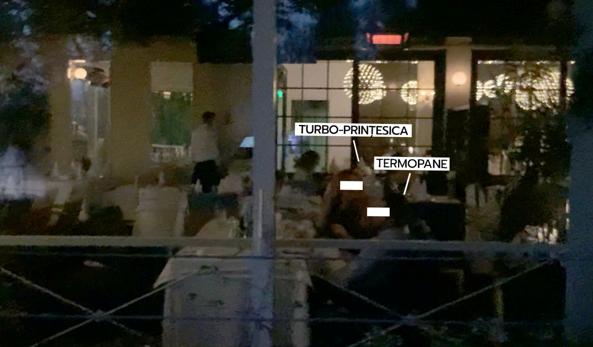 Termopane și Turbo-prințesica, cină romantică, la un restaurant din Herăstrău