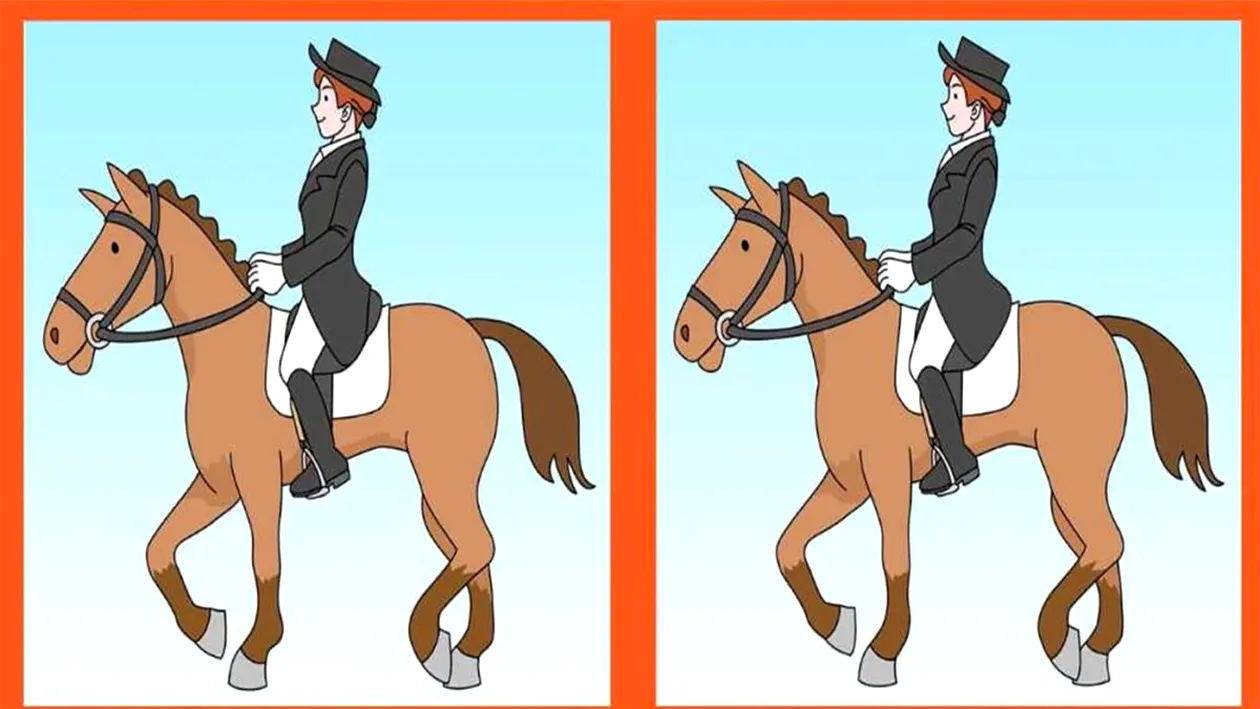 Test de perspicacitate | 3 diferențe în maximum 31 de secunde: Le puteți identifica pe toate?